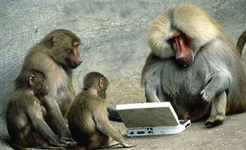 monkeycomputerweb