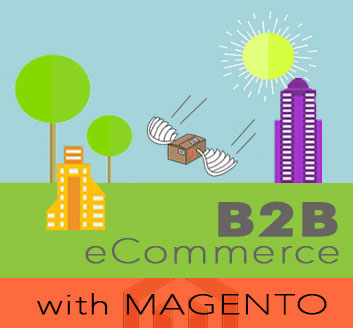 B2B eCommerce - Mageont