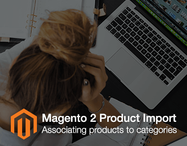 associate products to category in magento 2