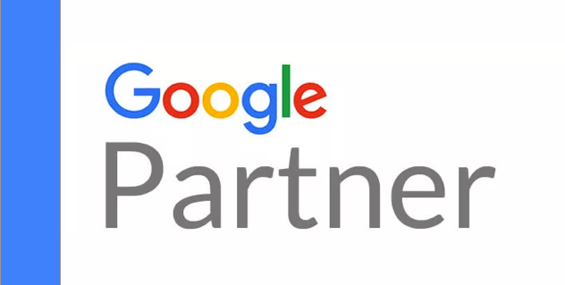 Google Partner logo