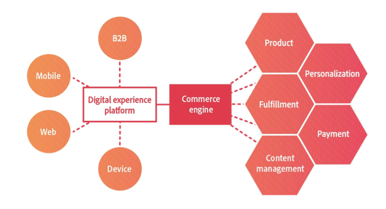 Experience-led content management graphic