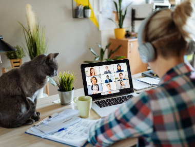 woman with headphones in online meeting with cat looking on