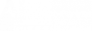Adobe Silver - Specialized - Logo - White