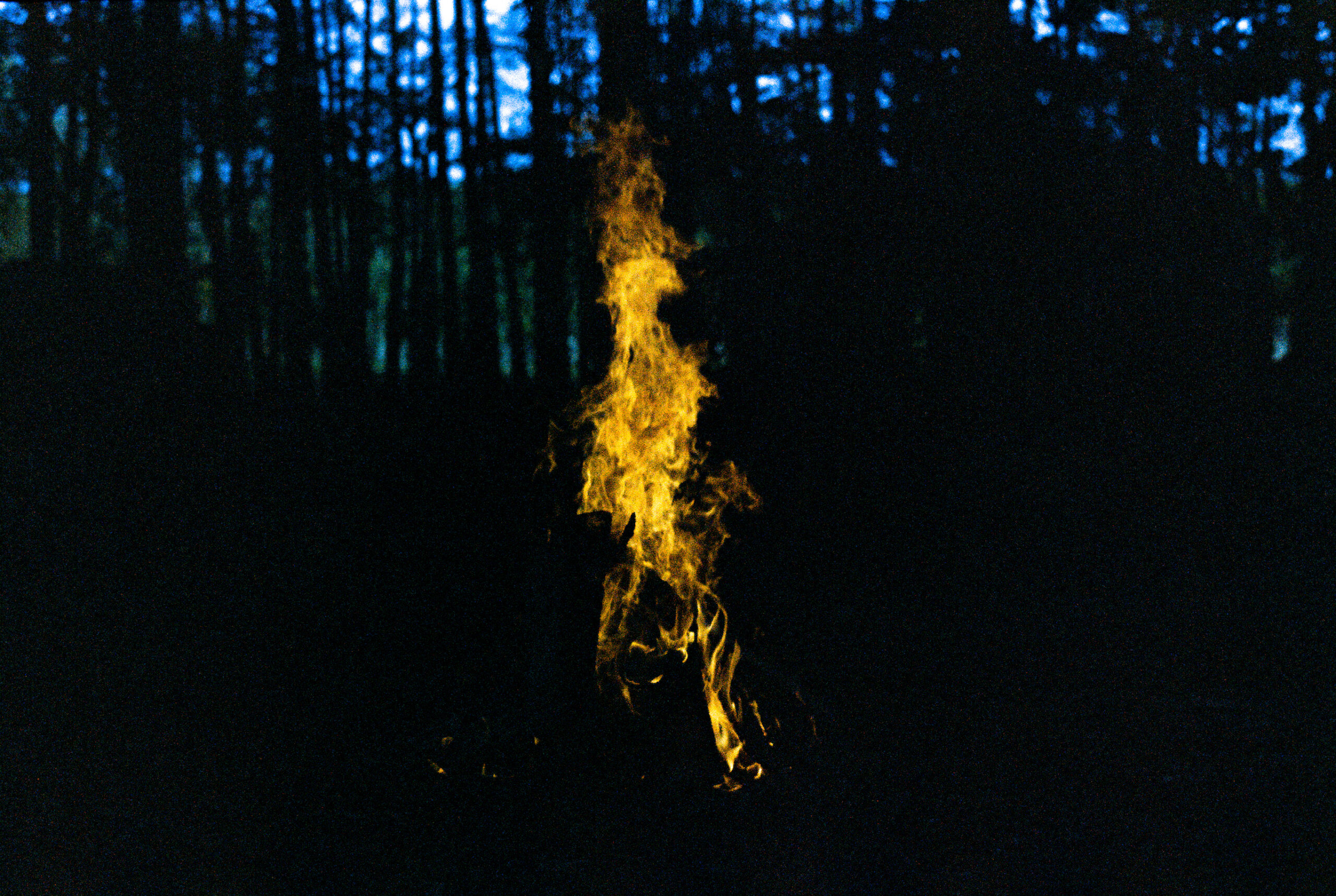 film photo of a campfire in fall